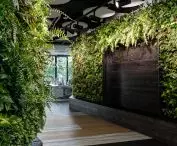 Living green walls in the office