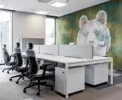 Murals with Polish animals