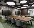 Forest theme in office interiors
