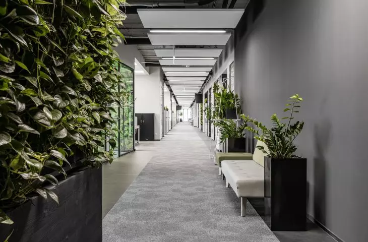 Green walls at Columbus Energy