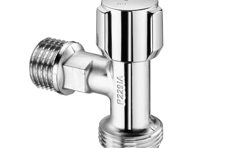 Schell compact valve