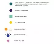 Projekt Domu Pomocy Społecznej w Krakowie, identyfikacja wizualna
