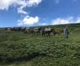 Photo from a trip in Bulgaria