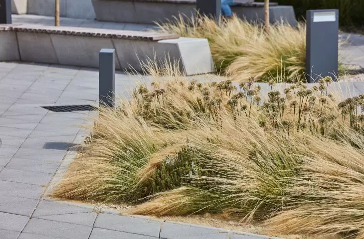 Plac przed Starym Browarem w Poznaniu przy ul. Ratajczaka po rewaloryzacji przez 1050 Pracownia Architektury