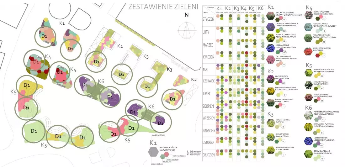 Zestawienie zieleni