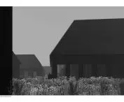 gardens between buildings