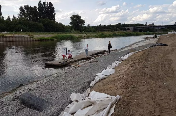 Works on the eastern bank of the Warta River at the level of the Piastowski settlement (August 2021).