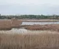 The observation point has the level of the water surface