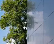 building fragment