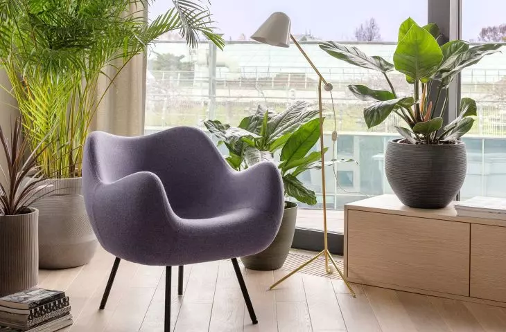 Salon, fotel RM58