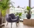Living room, armchair RM58