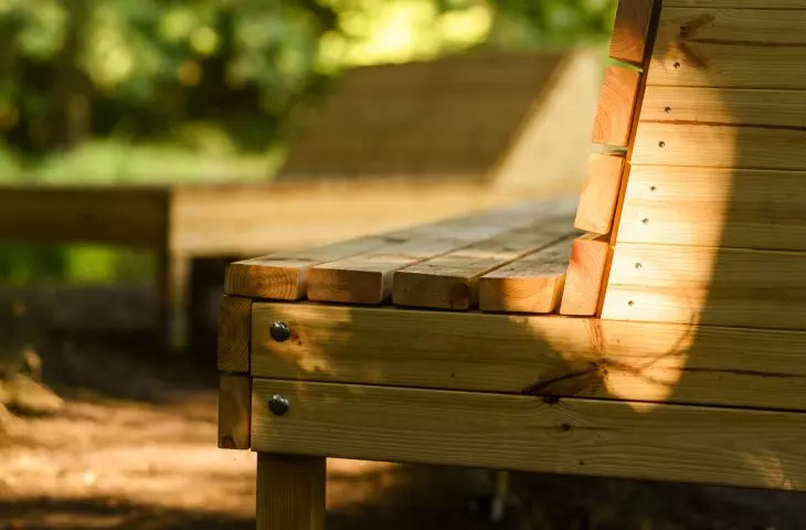 Dendrotherapy furniture, design by Irina Matei's team
