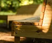 Dendrotherapy furniture, design by Irina Matei's team