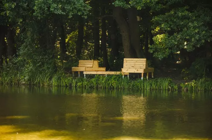Dendrotherapy furniture, design by Irina Matei's team