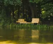 Dendrotherapy furniture, design by Irina Matei's team