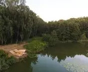 birdwatching point, a project by the team of Katrina Dambe and Florian Betat