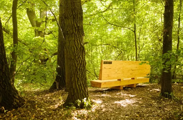 Dendrotherapy furniture, design by Karol Zurawski's team