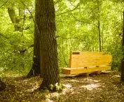 Dendrotherapy furniture, design by Karol Zurawski's team