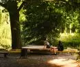 A platform for meditation and nature observation at Borusa Pond, a project by the team of Hugo Kowalski and Nikolai Stępień