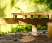A platform for meditation and nature observation at Borusa Pond, a project by the team of Hugo Kowalski and Nikolai Stępień