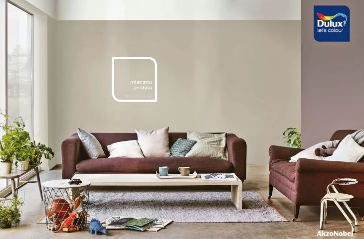 Dulux EasyCare