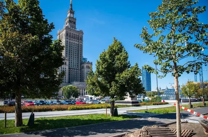 Green Marszalkowska