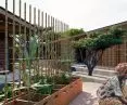 Women's House project in Senegal, atrium with gardens for growing plants