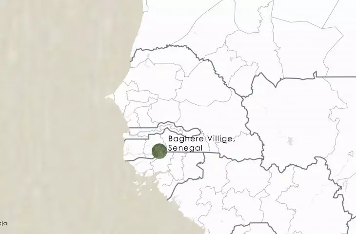 Women's House Project in Senegal, orientation