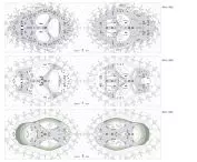 level projections -2, -1, 0