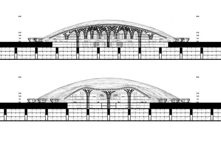 CC and DD cross sections