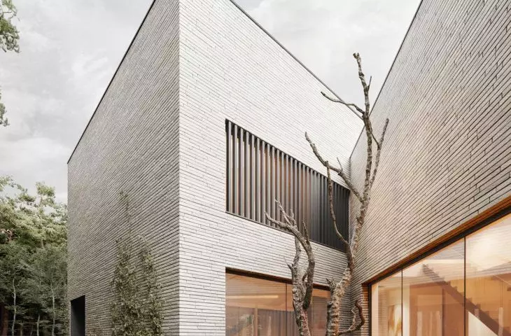 the shape of the mass made it possible to obtain two triangular courtyards