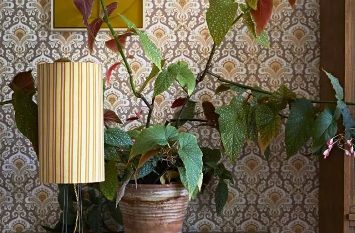 Wnętrzarski trend vintage