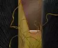 Golden railing turns into a vortex
