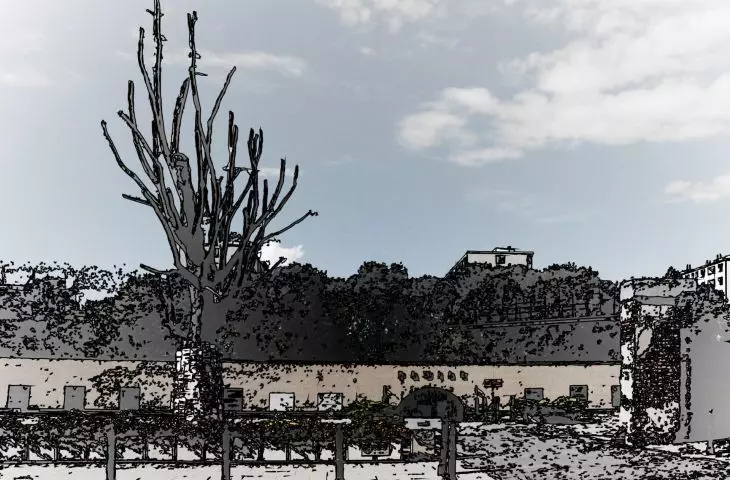 Warsaw, Pawiak, museum-memorial establishment with an elm tree cast in bronze 