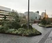 Design of public spaces Bjørvika, Oslo, work at SLA office