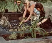 Establishment of a waterbed, exhibition 