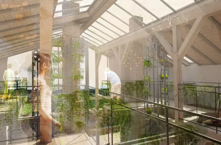 „Generacja XYZ. Architektura zmiany”, uprawy hydroponiczne