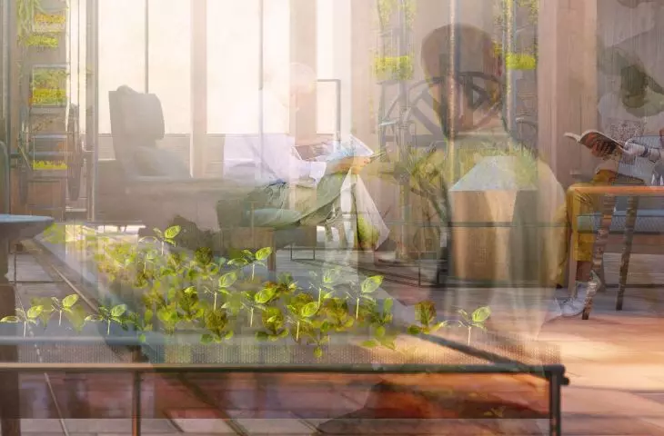 „Generacja XYZ. Architektura zmiany”, uprawa roślin