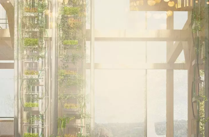 „Generacja XYZ. Architektura zmiany”, uprawy hydroponiczne