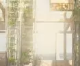 „Generacja XYZ. Architektura zmiany”, uprawy hydroponiczne