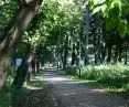 Rewaloryzacja parku podworskiego w zespole przyrodniczo-krajobrazowym w Wojanowie