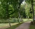Rewaloryzacja terenów zieleni w ogrodzie dworskim w Wielkich Chełmach