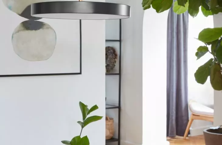 Lampa Asteria  wisząca marki Umage