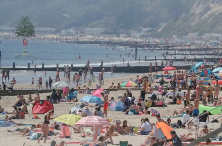 widok z plaży na drzewo PUNCH ME