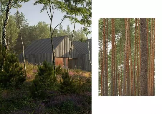 inspiracją for the architecture was the surrounding nature of the plot