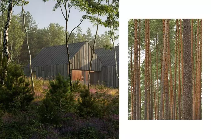 inspiracją dla architektury była otaczająca działkę natura