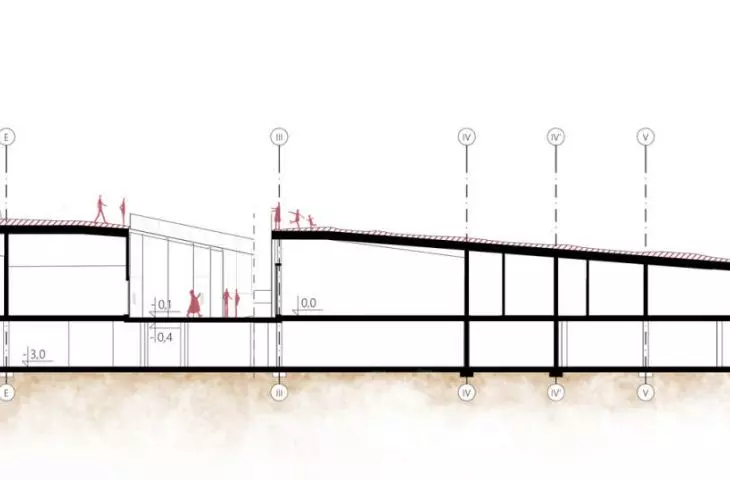 section