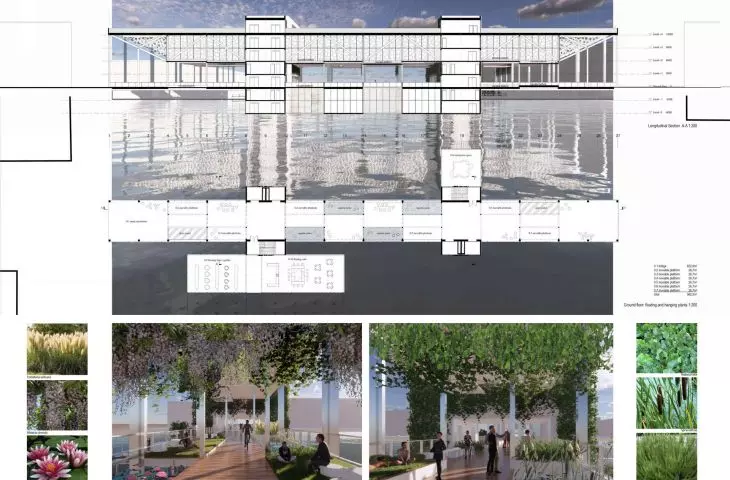 section and first floor plan