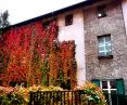 An example of vines on a building.