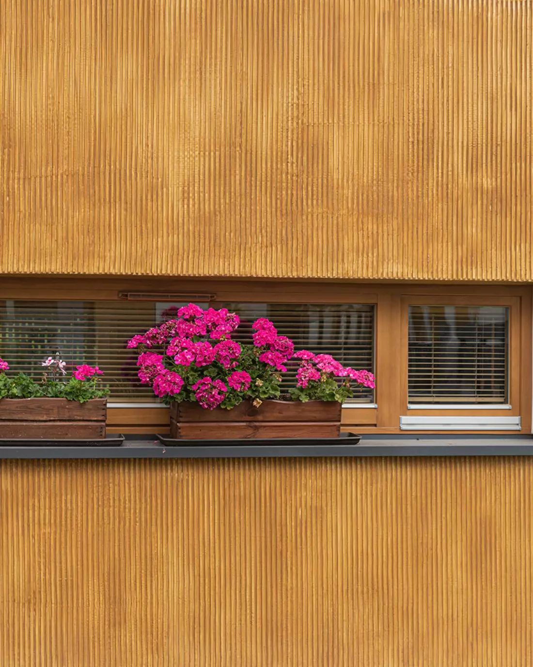Villa Prestige,
Warszawa efekt ryfli Baumit CreativTop © BAUMIT